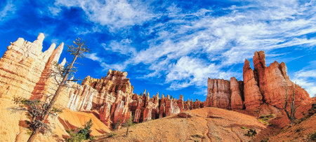 Bryce Canyon landscape along Navajo Loop hiking trail, Bryce Canyon national park, Utah, USA.の写真素材