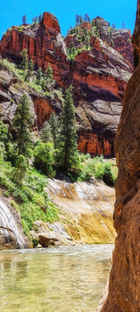River at Zion National Park. Exploring the beauty of the Narrows and the beautiful canyons of the narrowsの写真素材