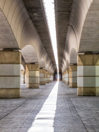 Under a Valencian Bridge in Turia Park, Spain.