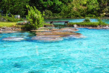 Beautiful landscape with stromatolites, photo taken in Laguna Bacalar in Mexicoの写真素材