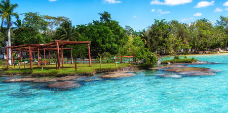 Beautiful landscape with stromatolites, photo taken in Laguna Bacalar in Mexicoの写真素材