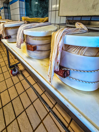 Parmigiano reggiano hard grate cheese industrial production cooking process plant, Parma, Italyの写真素材