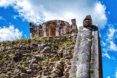 Flora and Fauna in Mexico