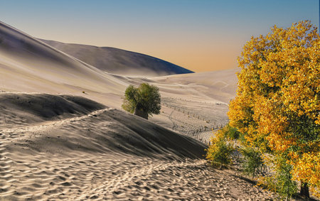 The giant singing Sand Dunes (Ming Sha Shan) in Dunhuang, China, are the sand dunes that, when the wind blows, give out a singing or drumming sound. They are part of the Kumtag Desert.の写真素材
