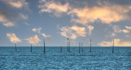 Fishing netpoles in dutch lake at daytime, Enkhuizen, The Netherlandsの写真素材