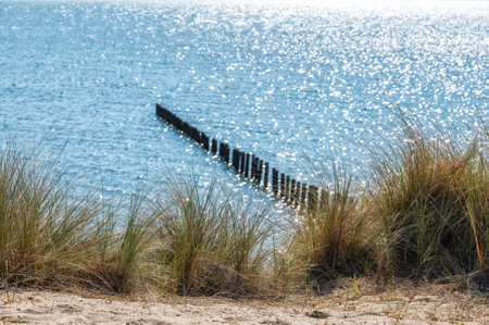 The Markerwadden in the Netherlands  is a new made Nature Reserve for Birds and Recreation, There are a lot of lakes and Creeks for birds and Watch Towers for Birders.の写真素材