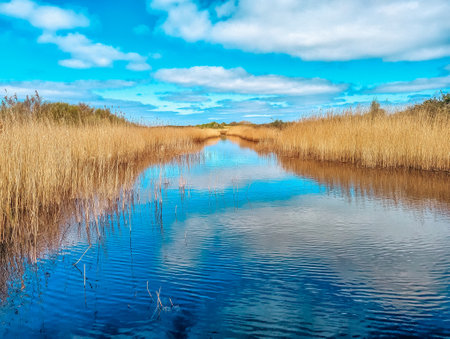 View at landscape of Schiermonnikoog, Netherlands, Frisia, Schiermonnikoog