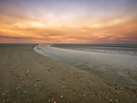 beach plain on the eastern tip of Schiermonnikoog, The Netherlandsの写真素材