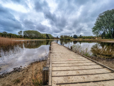 Wooden jetty at nature scene, Schiermonnikoog, The Netherlandsの写真素材
