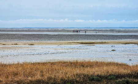 Walking on mud flats and tideway at low tide of Wadden Sea near Schiermonnikoog, Netherlandsの写真素材