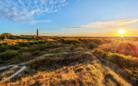 Schiermonnikoog  view in the dunes with the lighthouse during sunset at the wadden island during a beautiful spring day. Schiermonnikoog is part of the Frisian Wadden Islands and is known for its beautiful natural scenery, including sandy beaches, rolling dunes, and lush wetlands.の写真素材