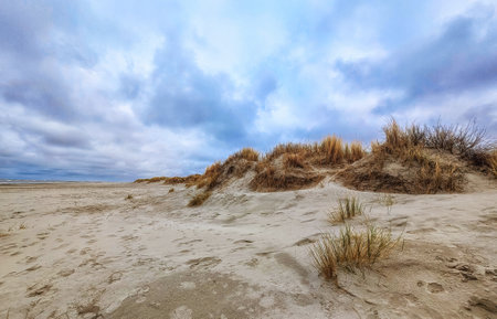 Scenic View over sand dunes by north sea coast, Schiermonnikoog, Holland, The Netherlandsの写真素材