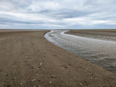 beach plain on the eastern tip of Schiermonnikoog, The Netherlandsの写真素材