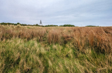 Kwelder op Schiermonnikoog, Saltmarsh at Schiermonnikoog, The Netherlandsの写真素材