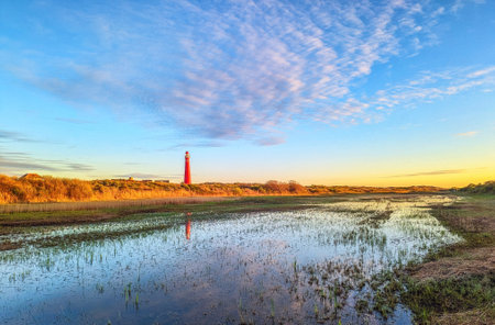 Schiermonnikoog  view in the dunes with the lighthouse during sunset at the wadden island during a beautiful spring day. Schiermonnikoog is part of the Frisian Wadden Islands and is known for its beautiful natural scenery, including sandy beaches, rolling dunes, and lush wetlands.の写真素材