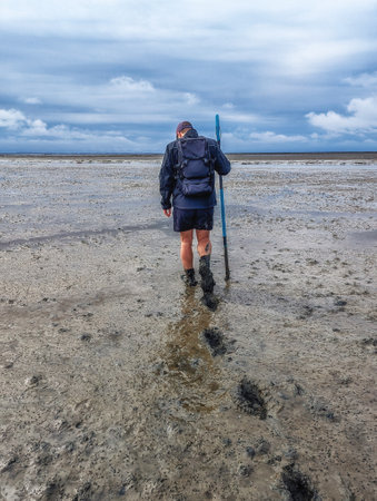 Walking on mud flats and tideway at low tide of Wadden Sea near Schiermonnikoog, Netherlandsの写真素材