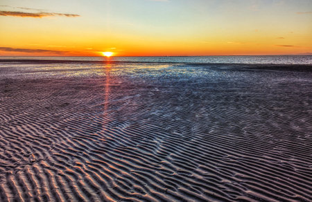 Sunset view of Wadden Sea, with mudflats at low tide on Schiermonnikoog Friesland, Netherlandsの写真素材