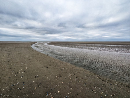 beach plain on the eastern tip of Schiermonnikoog, The Netherlandsの写真素材