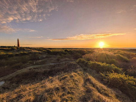 Schiermonnikoog  view in the dunes with the lighthouse during sunset at the wadden island during a beautiful spring day. Schiermonnikoog is part of the Frisian Wadden Islands and is known for its beautiful natural scenery, including sandy beaches, rolling dunes, and lush wetlands.の写真素材