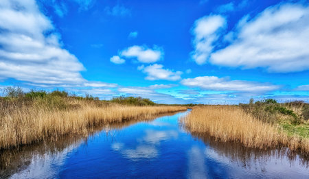 View at landscape of Schiermonnikoog, Netherlands, Frisia, Schiermonnikoogの写真素材
