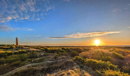 Schiermonnikoog  view in the dunes with the lighthouse during sunset at the wadden island during a beautiful spring day. Schiermonnikoog is part of the Frisian Wadden Islands and is known for its beautiful natural scenery, including sandy beaches, rolling dunes, and lush wetlands.の写真素材