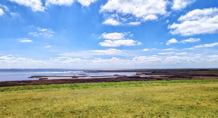 Schiermonnikoog early spring  landscape at the salt marsh during a cold but beautiful spring...