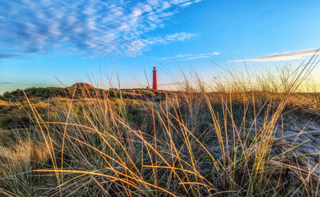 Schiermonnikoog  view in the dunes with the lighthouse during sunset at the wadden island during a beautiful spring day. Schiermonnikoog is part of the Frisian Wadden Islands and is known for its beautiful natural scenery, including sandy beaches, rolling dunes, and lush wetlands.の写真素材