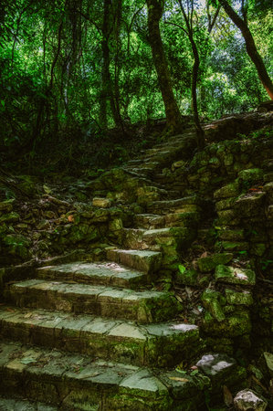 Stairs in the ruins of the Mayan city of Palenque, Palenque National Park, Chiapas, Mexico. A UNESCO World Heritage Site.の写真素材