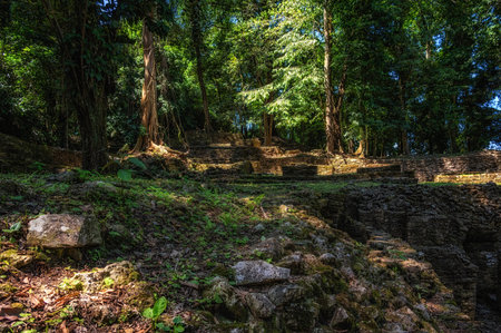 Trees growing on top of ancient Mayan ruins in Palenque, Mexicoの写真素材