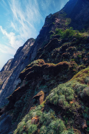 Natural monument called Chistmas tree which was created by water and is waterfall in some part of the year. Canyon Sumidero, Chiapas, Mexico.の写真素材