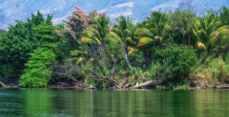 Sumidero Canyon National Park, Mexico. Natural wonder, adventure, and scenic landscape conceptの写真素材