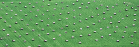 An aerial panoramic view of field with hay in bales under blue bright sky, Scotland, UK
