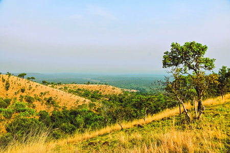 Hilly landscape, Burundi, Bujumbura Rural, Bugarama