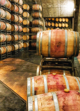 Images from inside the Bodega Winery south of Mendoza, Argentina.