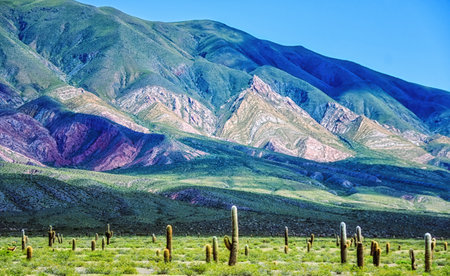 Landscape in Los Cardones National Park, Salta Province, Argentina, South Americaの写真素材