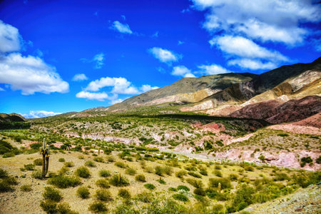 Valle Tin Tin, Los Cardones Park, Argentina, South Americaの写真素材