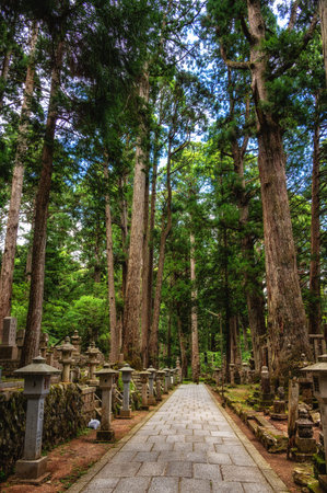 Okunoin Cemetery in Mount Koya, Japanの写真素材