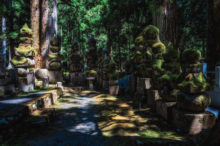 Koyasan Okunoin Cemetery with moss-covered stone lanterns and graves, surrounded by cedar forest. Ideal for spiritual travelers seeking serene heritage, Japanの写真素材