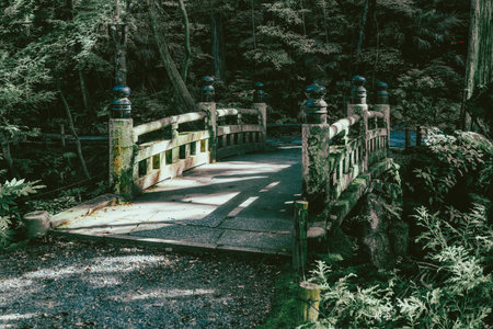 Hidden bridge surrounded by trees in a Japanese temple.