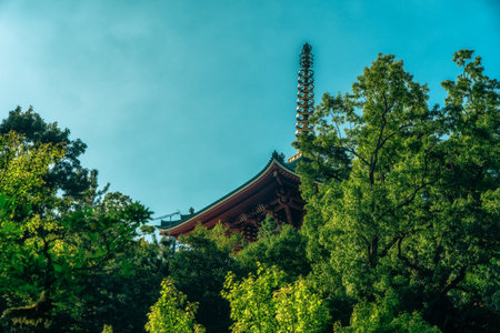 Great Pagoda of Peace with height of 58 meters, which houses various statues, texts of Buddhist...