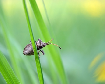 The beatlの写真素材