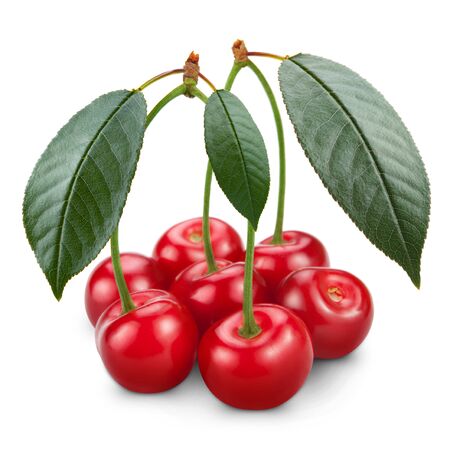 Ripe cherry isolated on white backgroundの写真素材