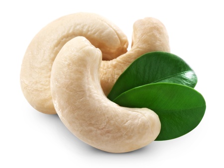 cashew nuts isolated on white background. macroの写真素材