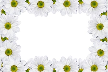 Flowers frame on white backgroundの写真素材