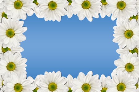 Flower frame with space for copy on a blue backgroundの写真素材