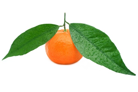 tangerine isolated on a white backgroundの写真素材