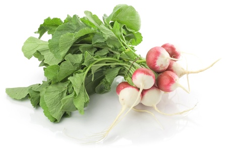 Fresh radishes isolated on white background
の写真素材