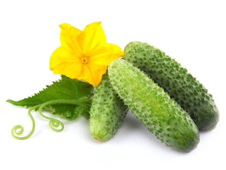 Cucumber isolated over white backgroundの写真素材