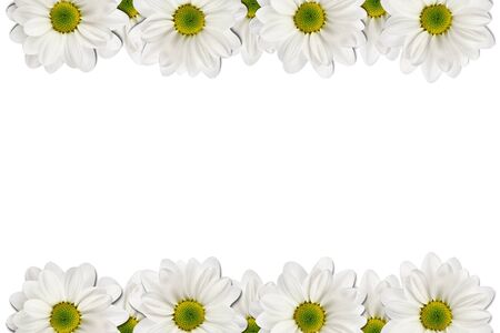 Flowers frame on white backgroundの写真素材