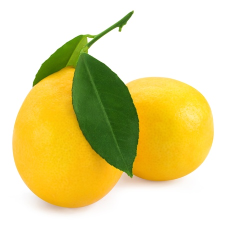 Fresh lemon citrus isolated on white backgroundの写真素材